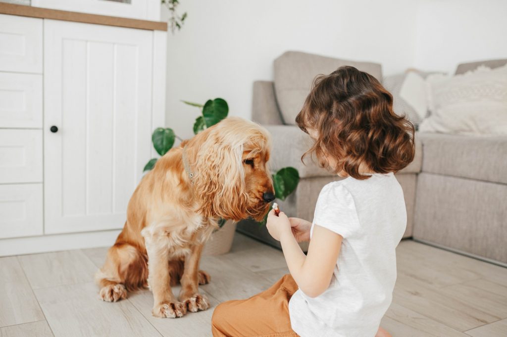 7 dicas para ter cachorro e gato em apartamento