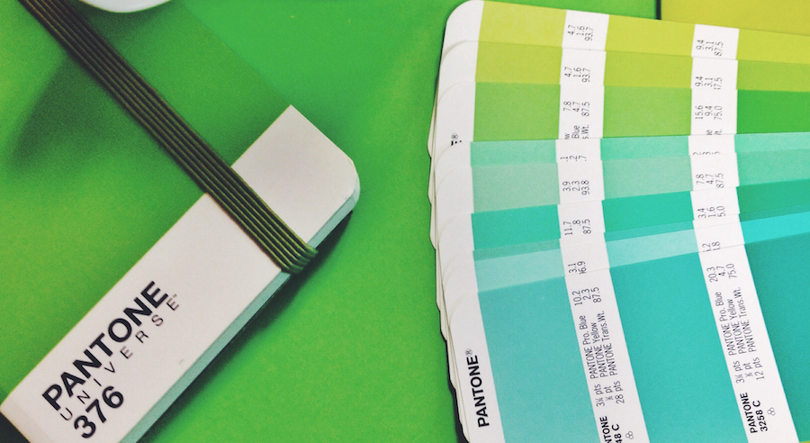 Paleta de cores verde