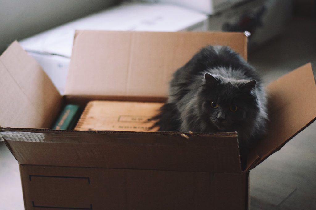 Listas de itens importantes para a casa nova