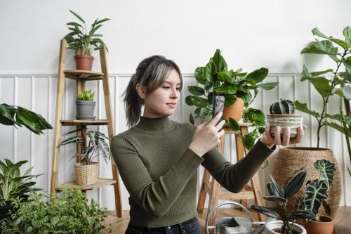 plantas para apartamento